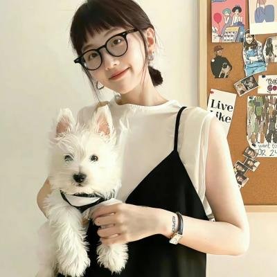 马永贞之争霸上海滩国语